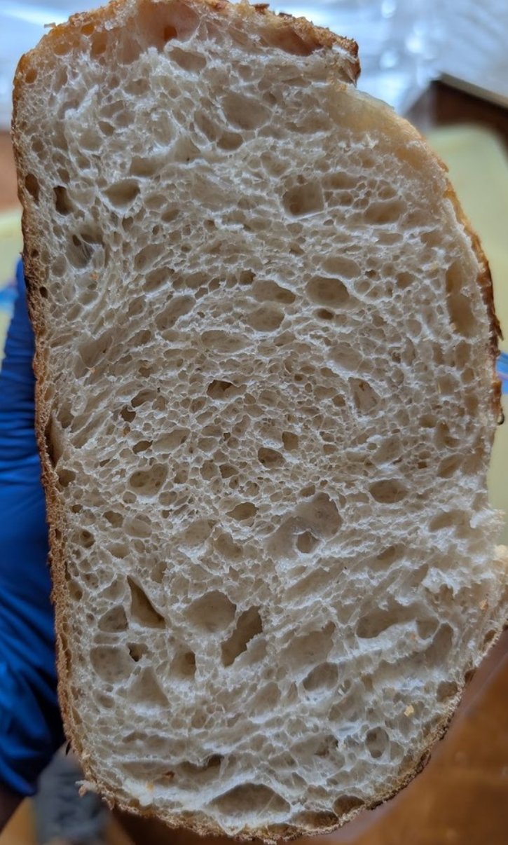 Crumb cross-section